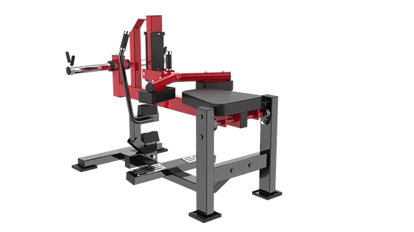 SEATED CALF