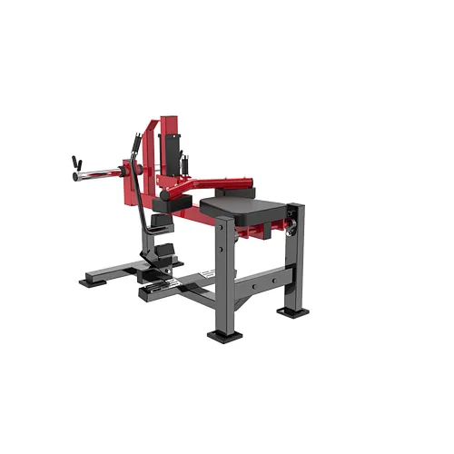 SEATED CALF